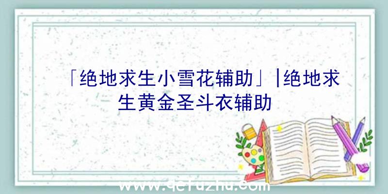 「绝地求生小雪花辅助」|绝地求生黄金圣斗衣辅助